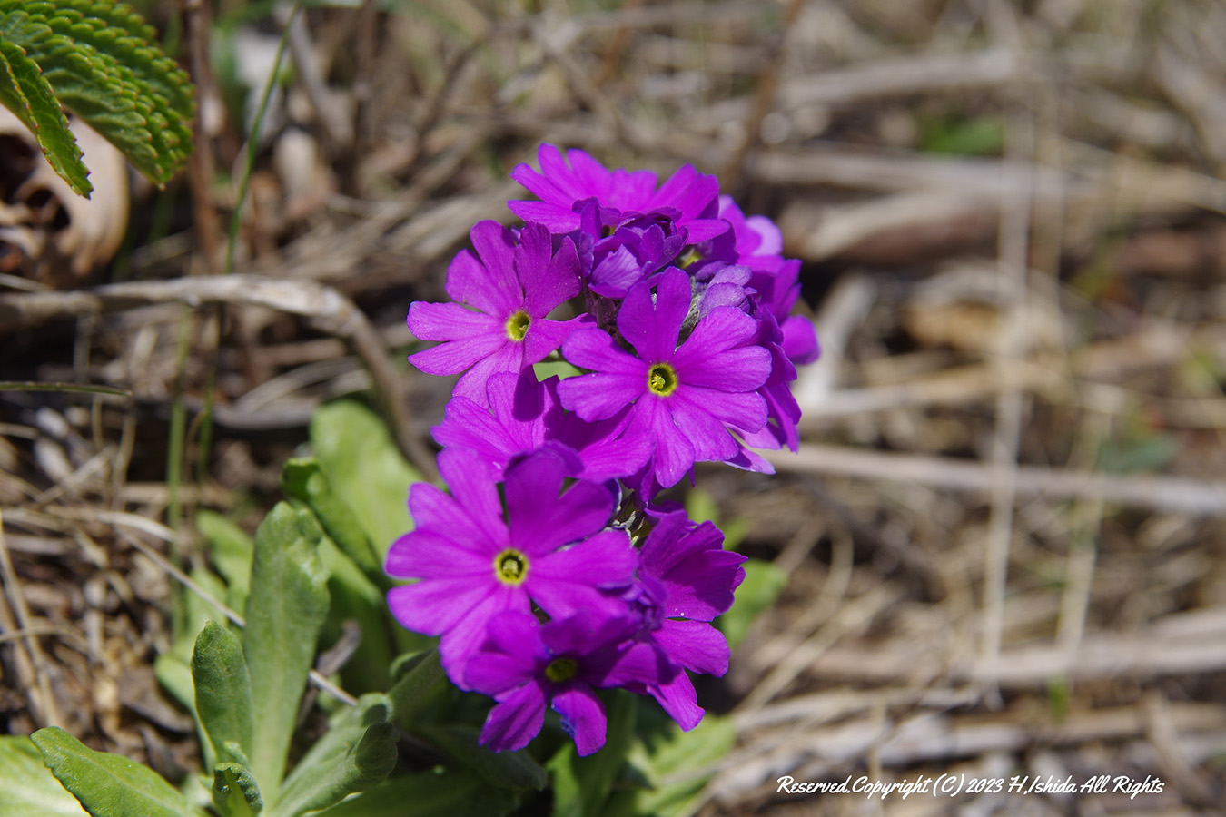 【1グループ貸し切り♪】桃岩知床コース～初心者にもおすすめ～