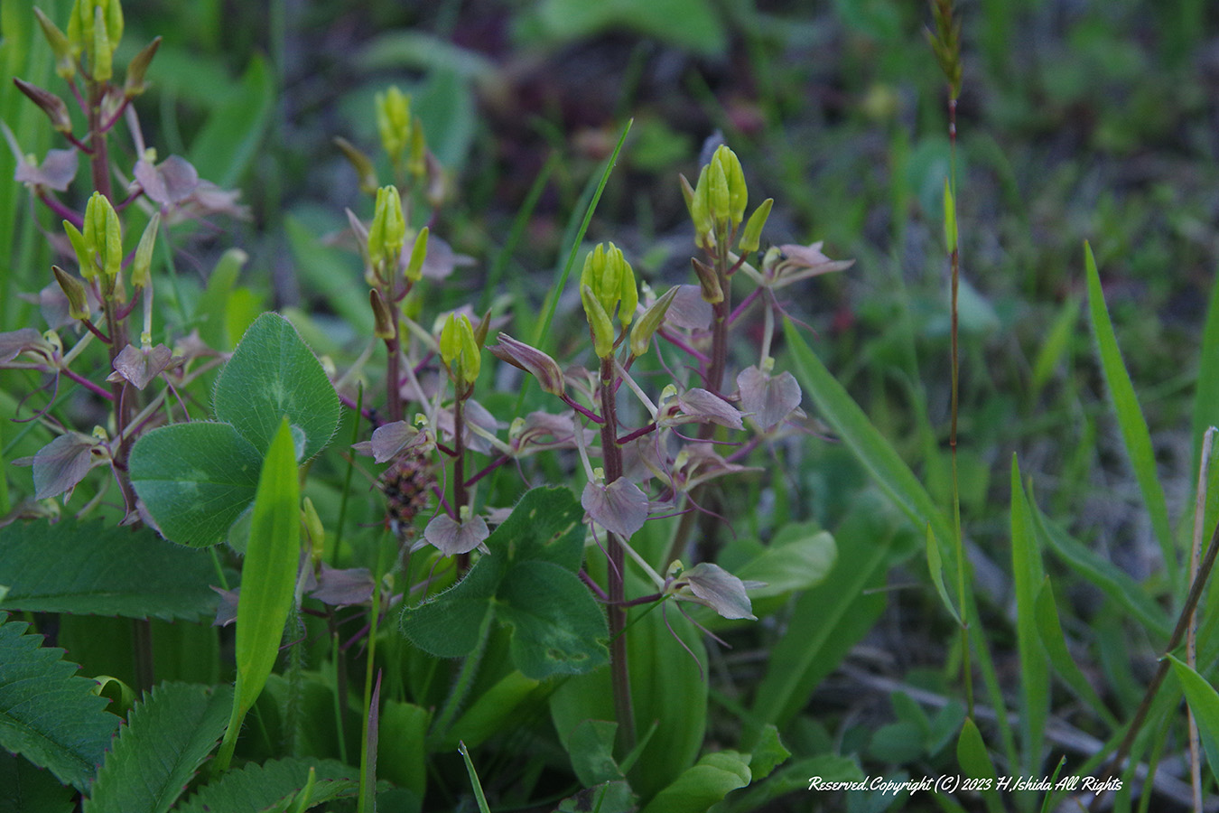【1グループ貸し切り♪】桃岩知床コース～初心者にもおすすめ～