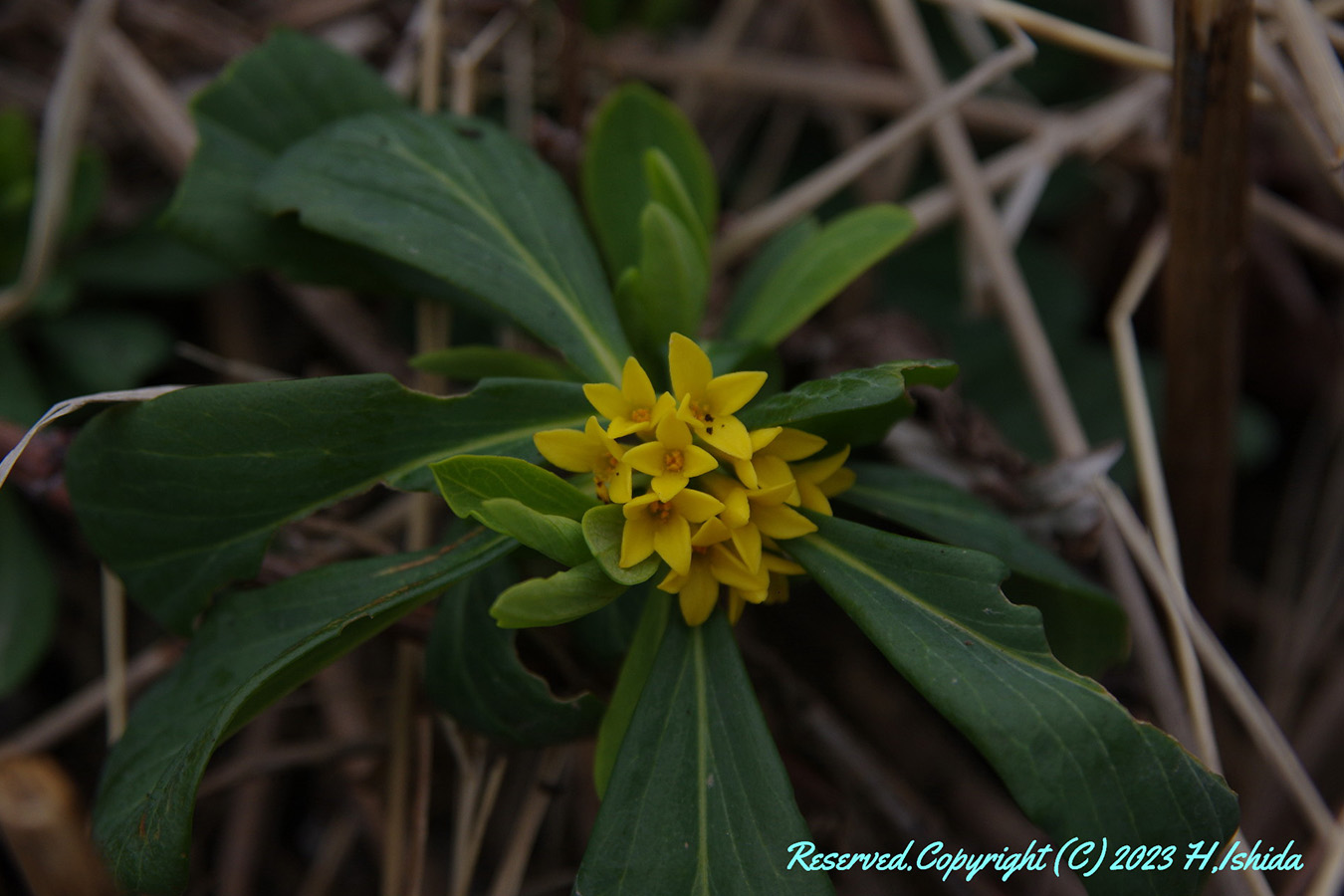 【1グループ貸し切り♪】桃岩知床コース～初心者にもおすすめ～