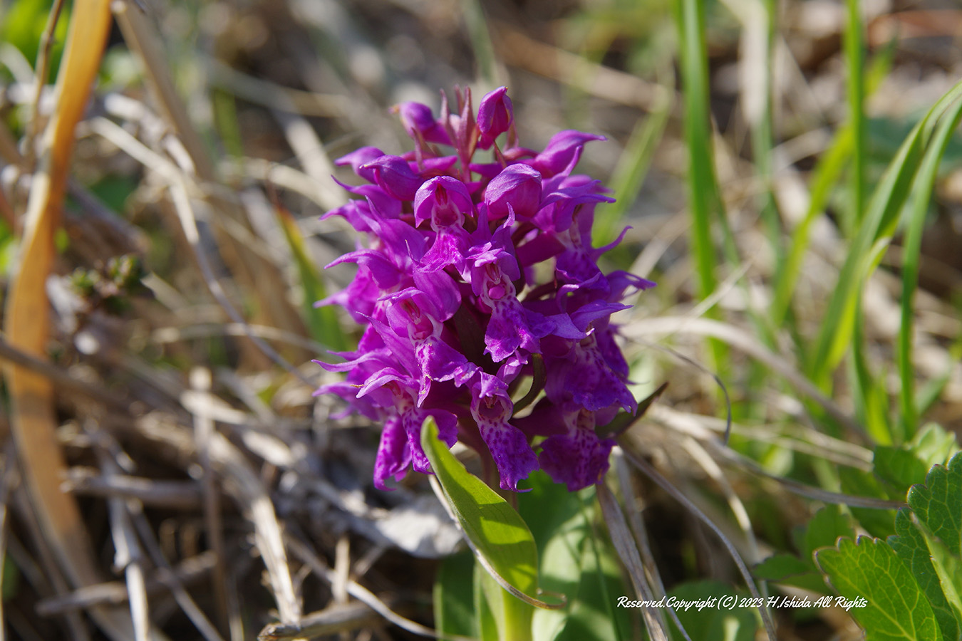 【1グループ貸し切り♪】桃岩知床コース～初心者にもおすすめ～