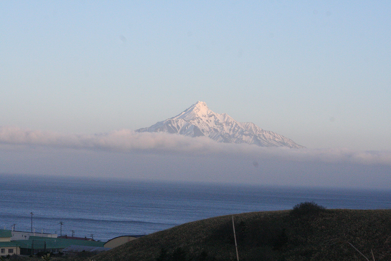 【1グループ貸し切り！】礼文林道コース（ウスユキ群生地往復）～初心者にもおすすめ～